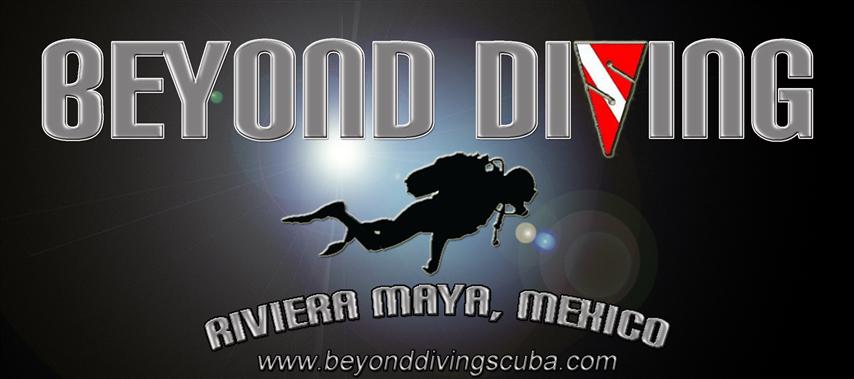 Playa del Carmen Scuba Diving