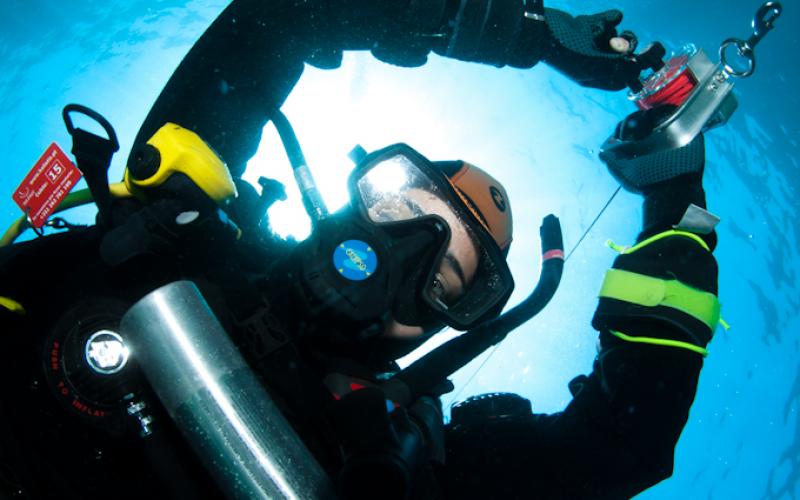 Haliotis Peniche Logo