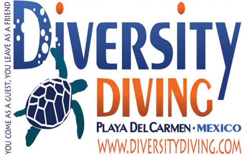 Diversity Diving Logo