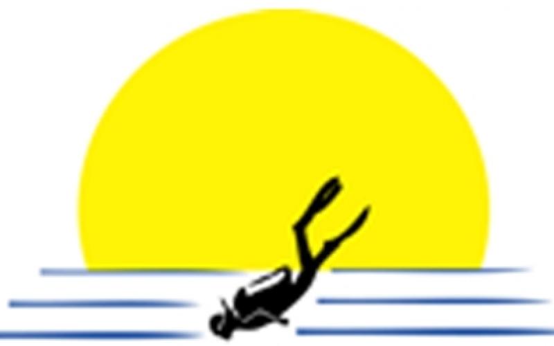 Pacific Dive and Travel Logo