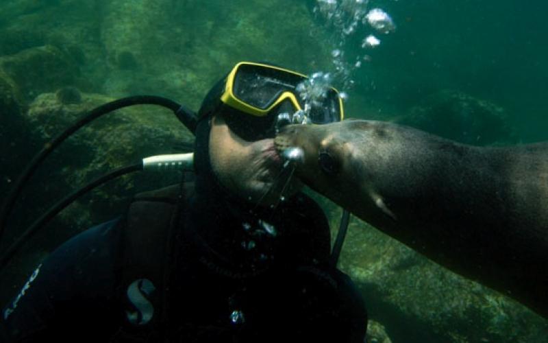 The Cortez Club Logo