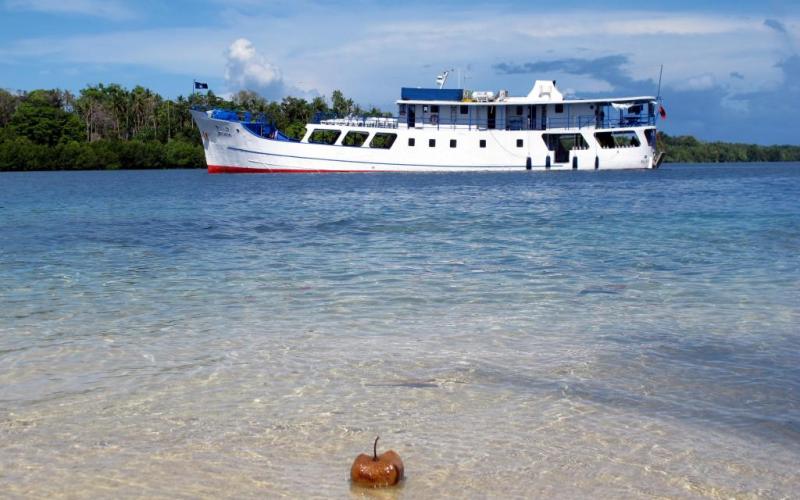 Bilikiki Cruises Logo