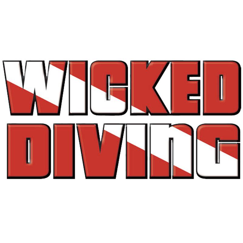 Logo Wicked Diving - Komodo, Raja Ampat and diving expeditions