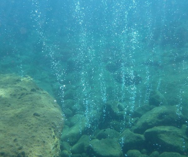 Underwater bubbles at Champagne Reef dive site in Dominica