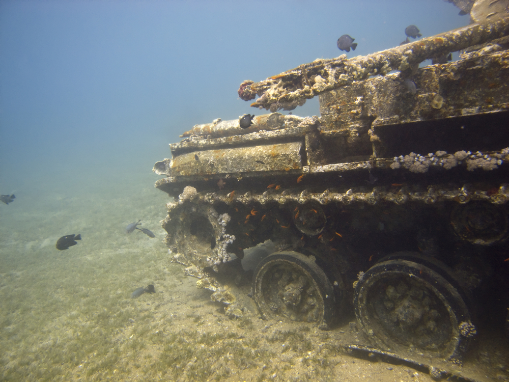 The tank wreck in Jordan is home to vibrant corals and abundant fishes and remains a lovely Middle East dive attraction