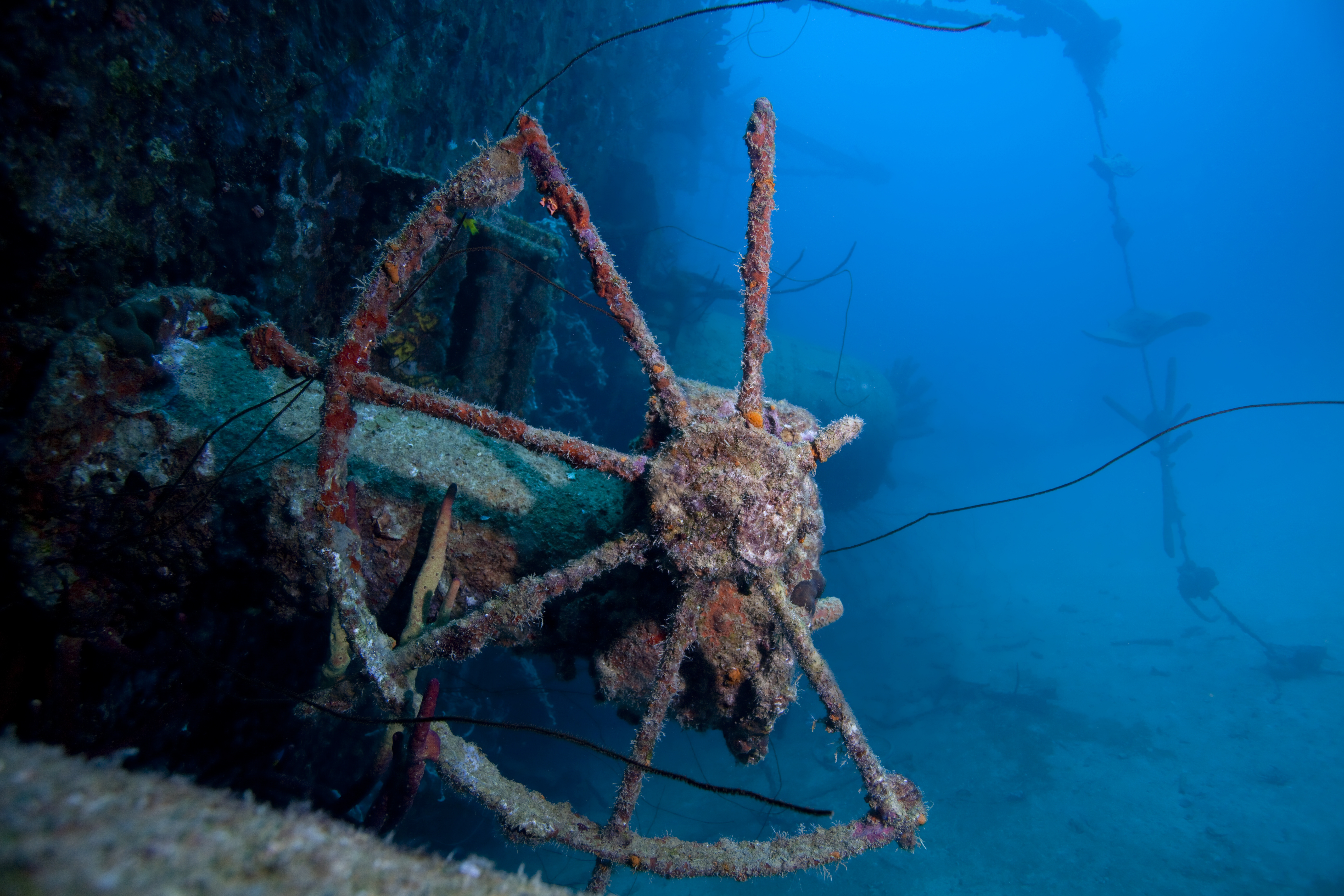 Hilma Hooker&#039;s wheel is encrusted in corals inviting divers to take her for a spin in the Caribbean waters of Bonaire