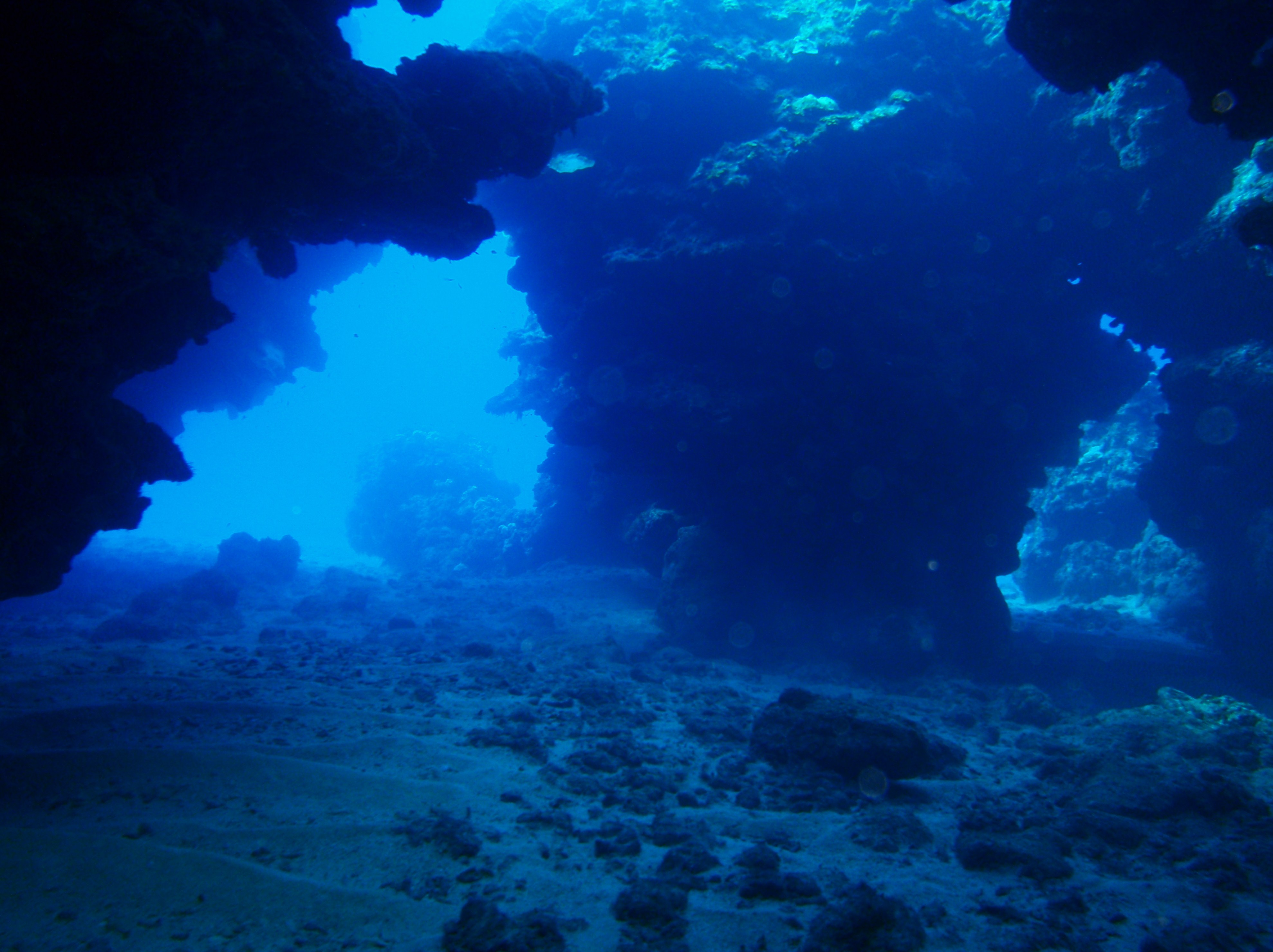 A series of cave formations and swim-throughs at Devil's Grotto dive site in Grand Cayman