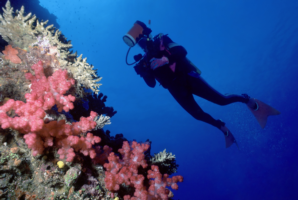 Diver in Dominican Republic's Caleta Underwater National Park enjoys the endless photo opps that the underwater walls and vibrant corals provide