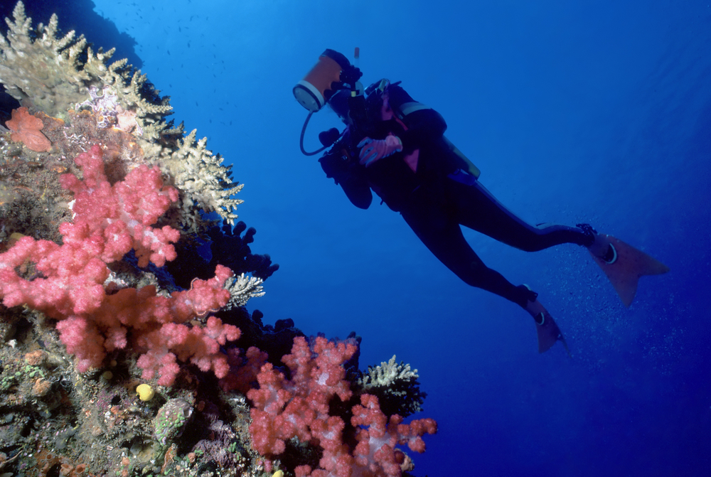Diver in Dominican Republic&#039;s Caleta Underwater National Park enjoys the endless photo opps that the underwater walls and vibrant corals provide
