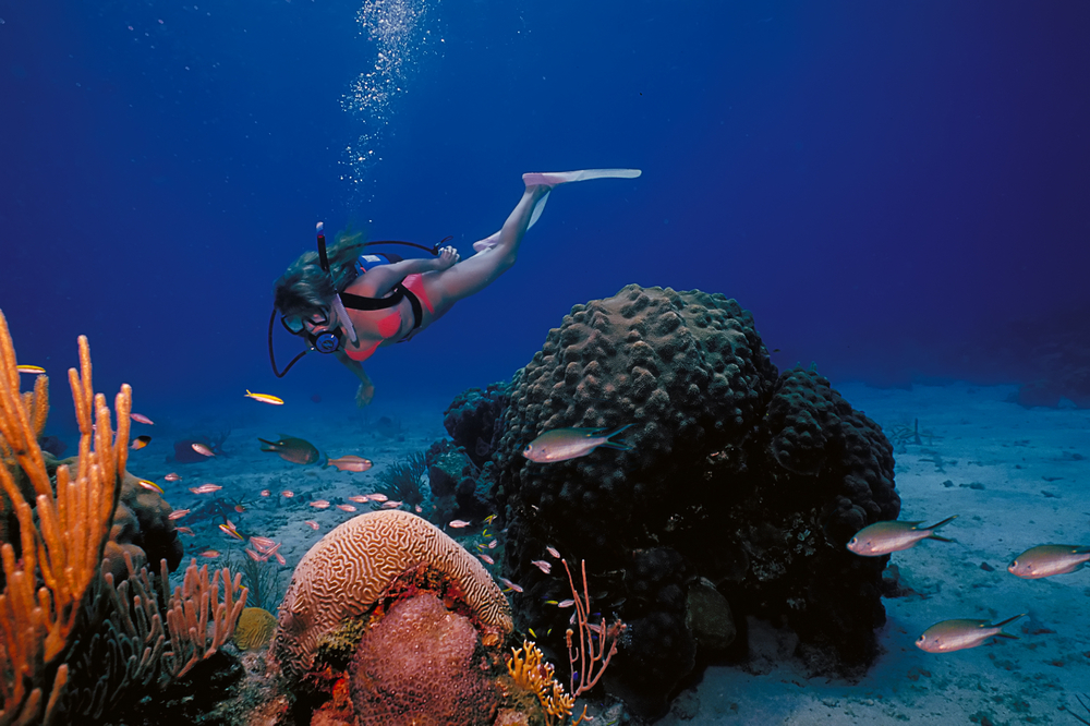 Woman snorkeler gazes upon the soft corals and fishes found around Kenepa dive site in the Caribbean waters of Curacao
