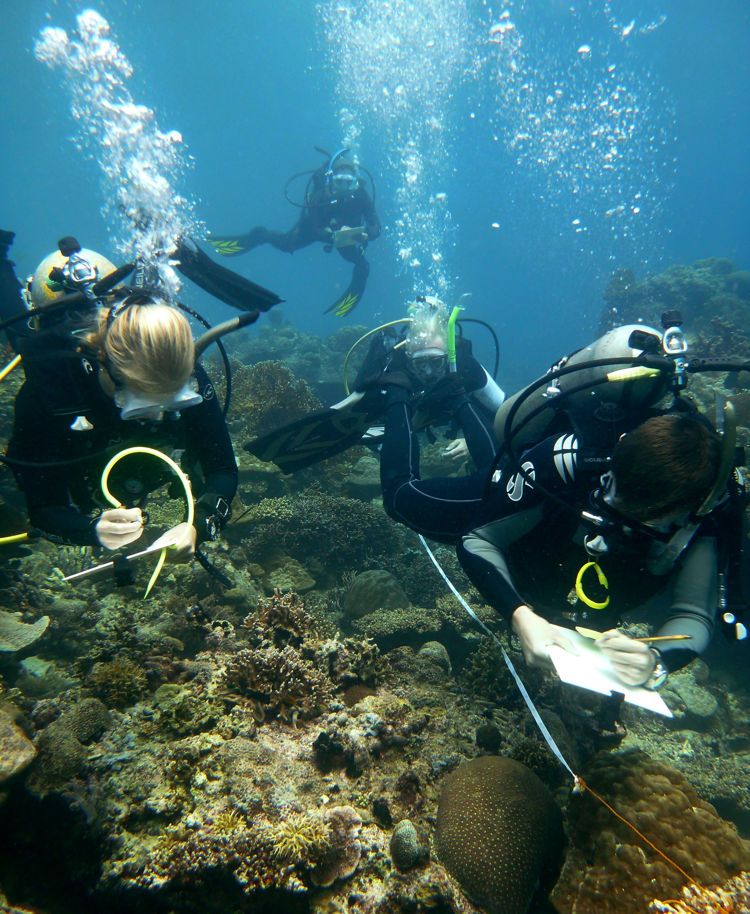 A survey group in the Philippines