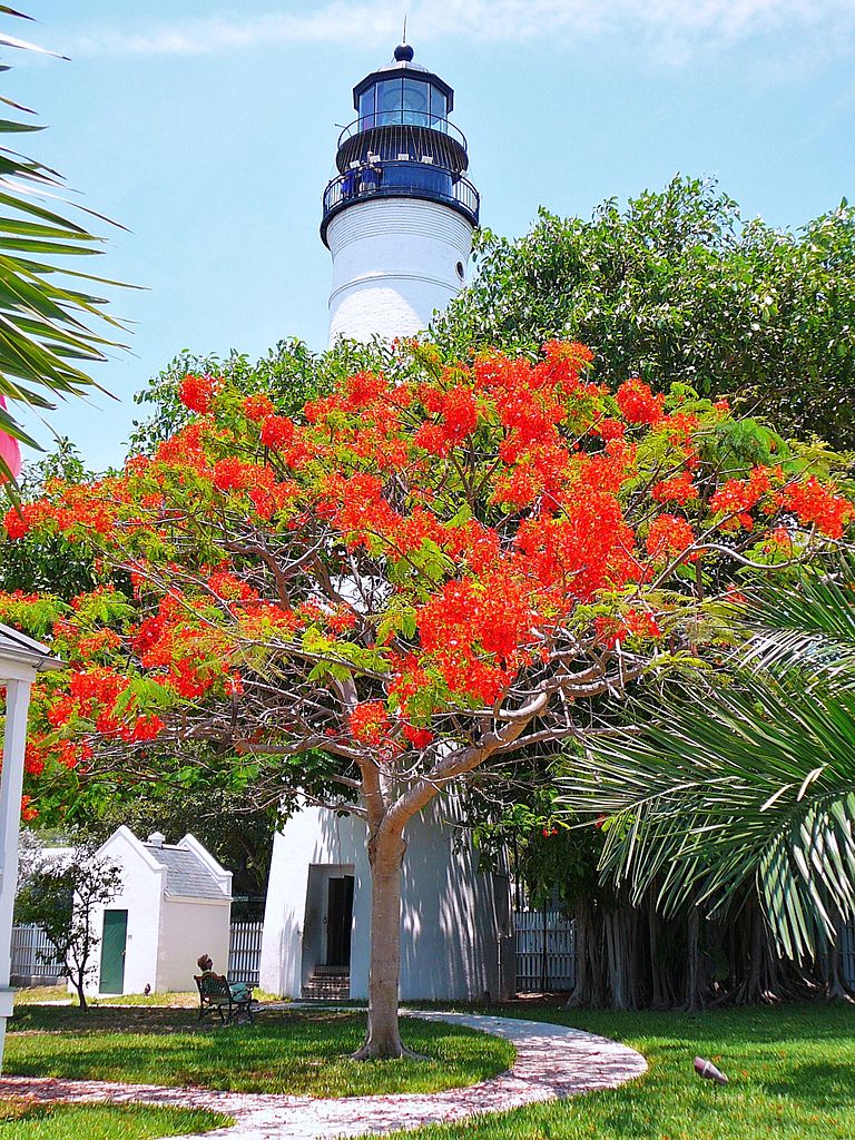First lit in 1849 and deactivated in 1969, the lighthouse at Whiteheads Point in Key West sits 100 feet above sea level and attracts visitors from all over the world.