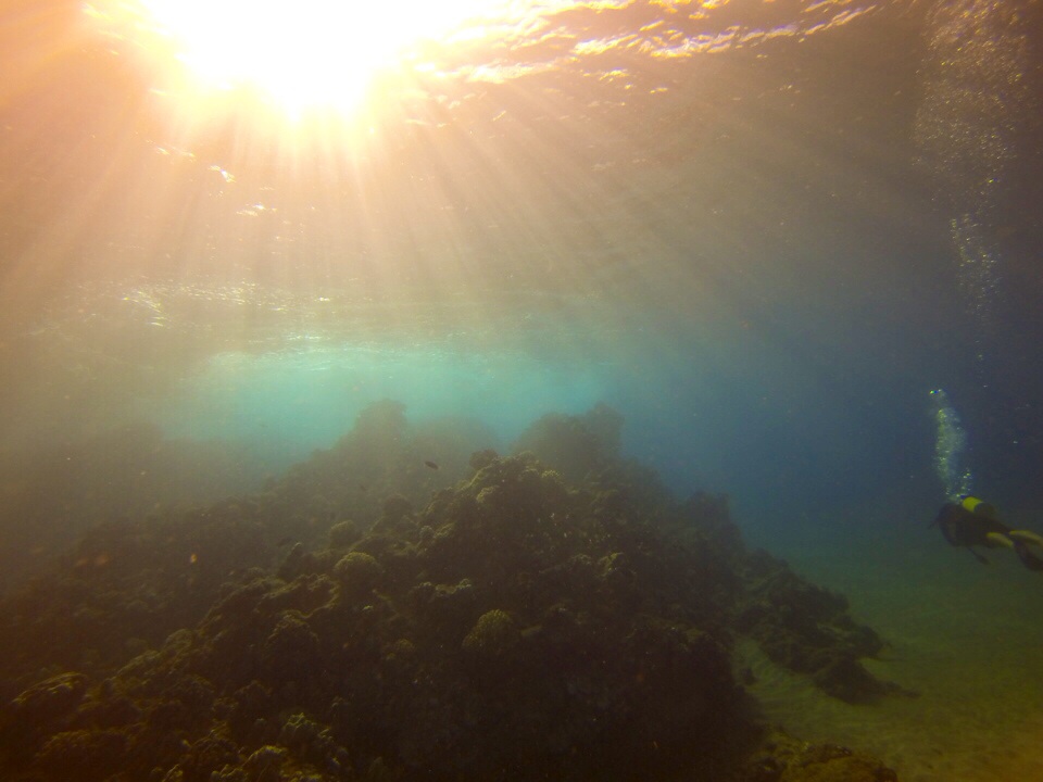 Underwater scene from shore dive off Maui