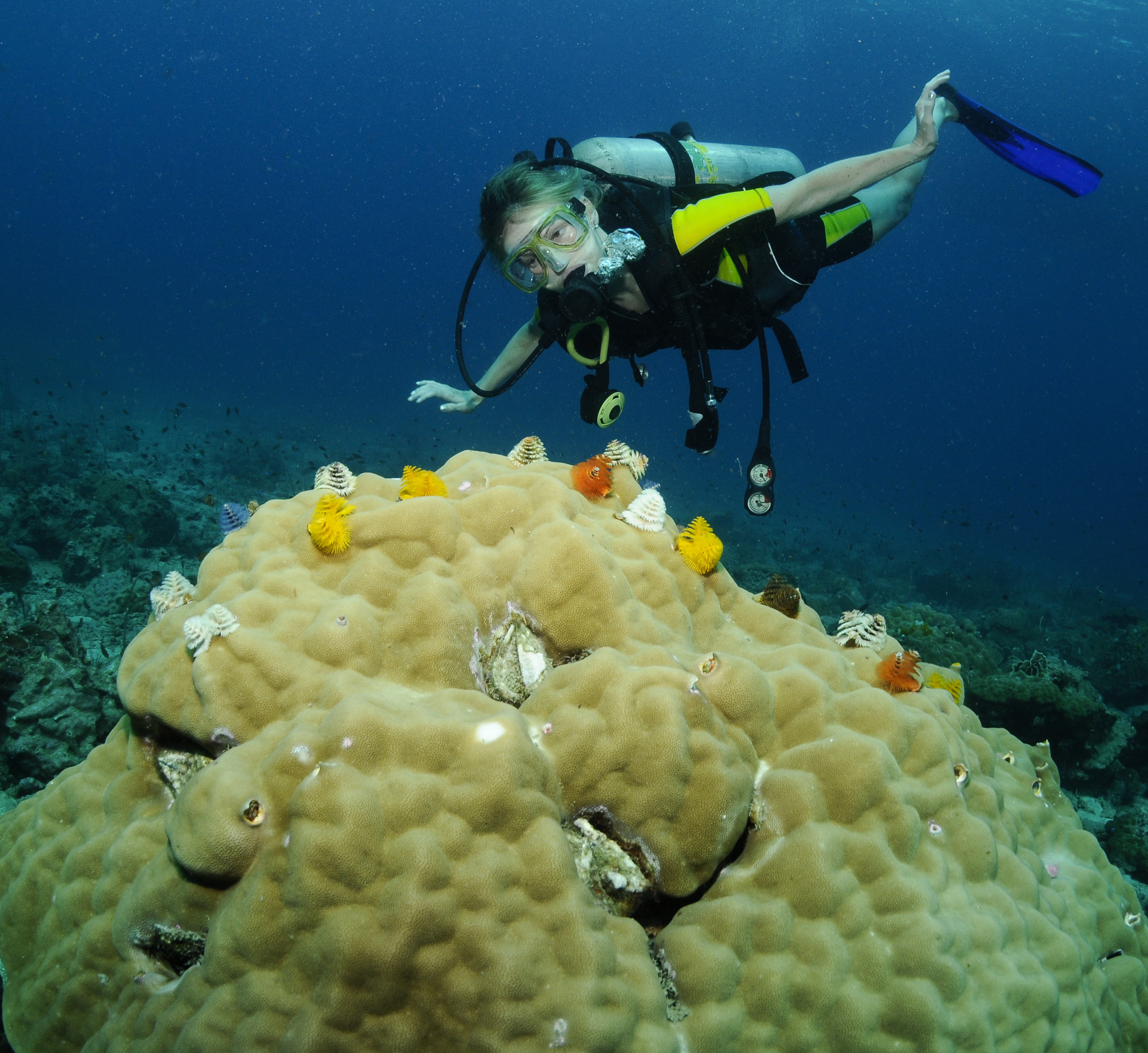 Female diver uses the big scuba hand signal to indicate the size of a coral structure to other divers in her group