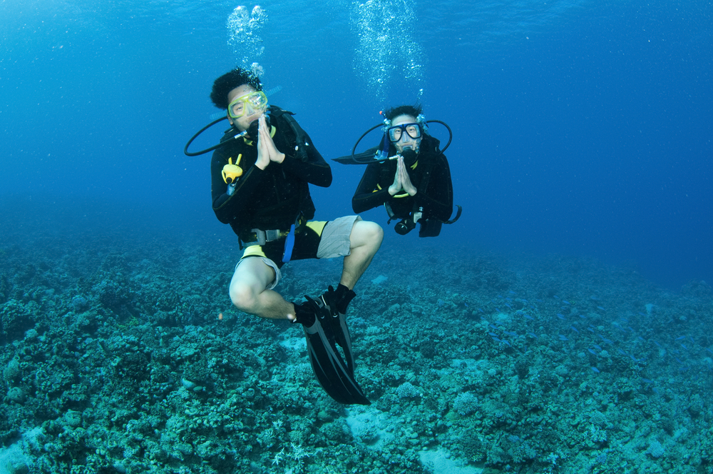 Two male divers use the thanks asia style scuba hand signal to tell another diver thank you for pointing out dangerous marine life