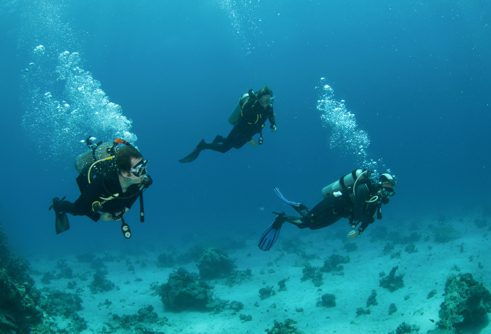 Three divers explore the flora and fauna found throughout the Caribbean all while working to perfect their trim