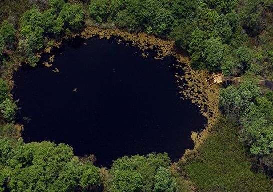 Aerial view of Eagle&#039;s Nest Sinkhole in Florida, a top pick among cave divers