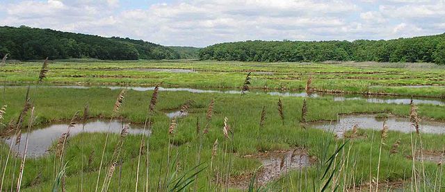 Panoramic view of the coastal salt marsh of Bride Brook in East Lyme, Connecticut