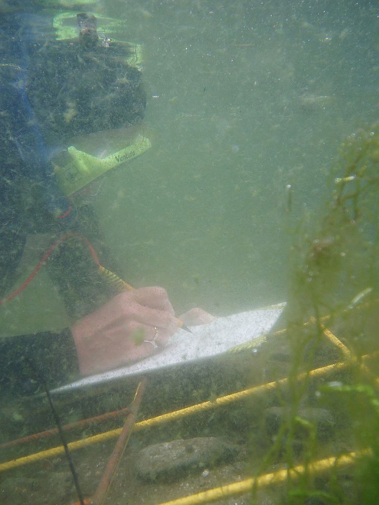 Scientist in scuba gear documents his underwater findings