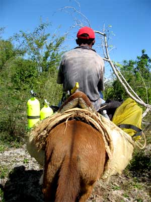 A member of the Dominican Republic Speleological Society (DRSS) explores the area by horseback in search of new dive locations 
