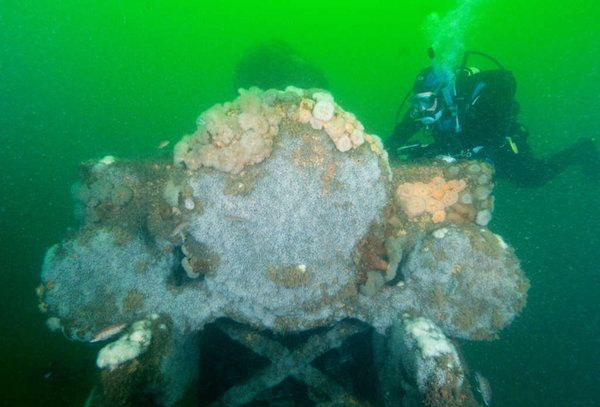 Diver exploring one of the locomotives found near Long Branch, New Jersey