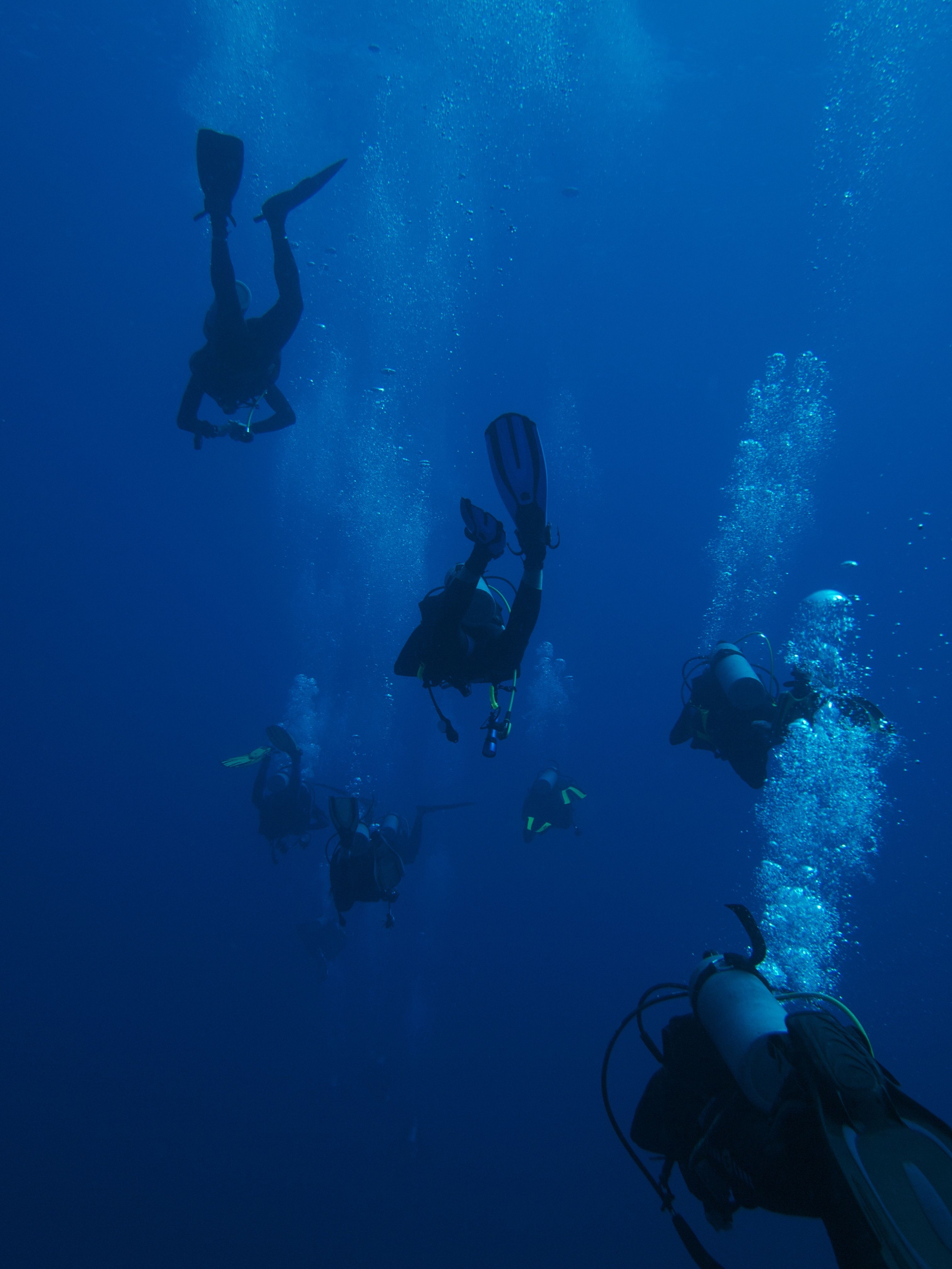 Several divers avoid the most common cause of diving accidents by practicing safe diving techniques