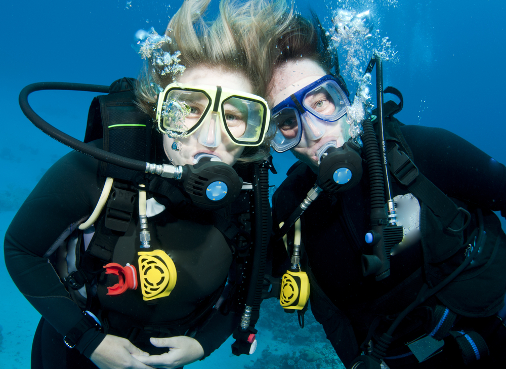 Divers pick their perfect dive buddy after analyzing fitness, responsibility, gear, and dive logs