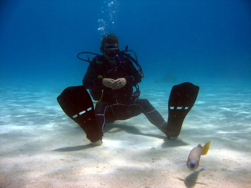 Diver suffering from the martini effect of nitrogen narcosis continues to sit on the ocean bottom staring at a fish while his air remains extremely low and his dive buddy is off wandering around