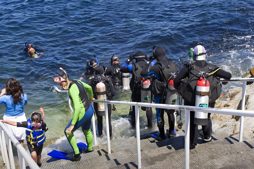 group of divers volunteer to remove trash from the ocean and use the debris to create art