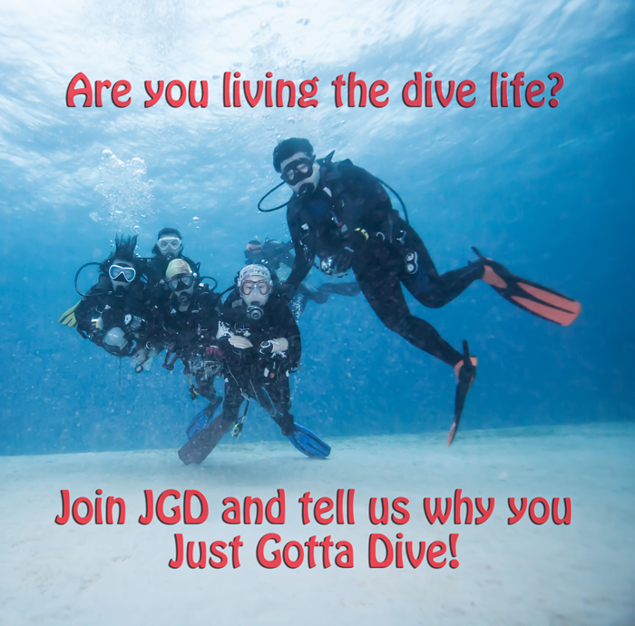 Group of divers posing together along a sandy bottom