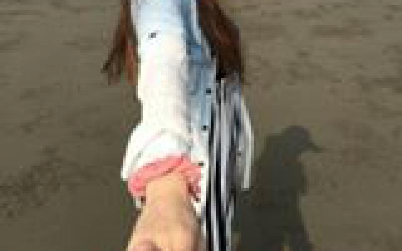 Chiapin Lai's picture