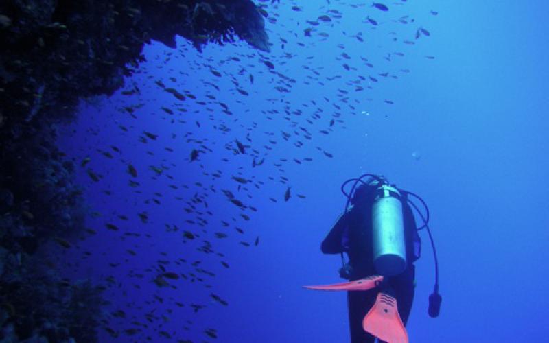 Betty Lockhart's picture