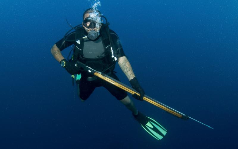 Peter Coats's picture