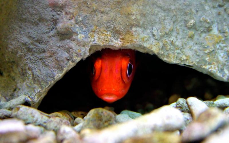 Betty Lollar's picture