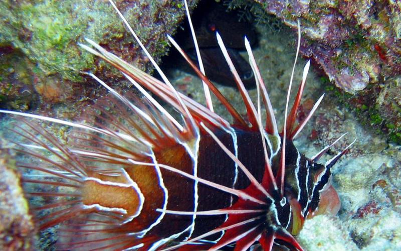 Claudia Easty's picture