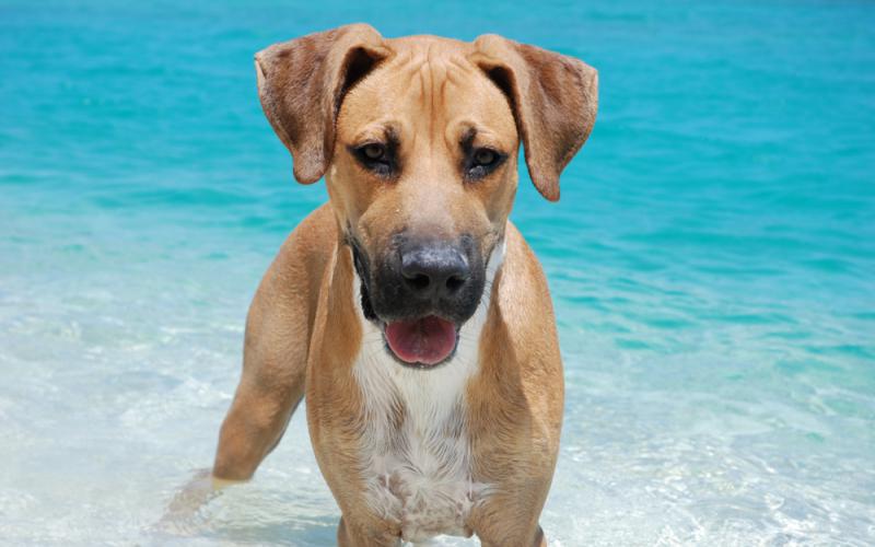 Zara Lyttle's picture