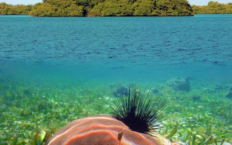 Georgia Taplin's picture