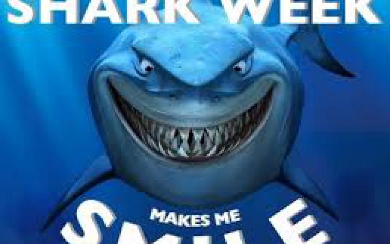 Paige Monsoor's picture