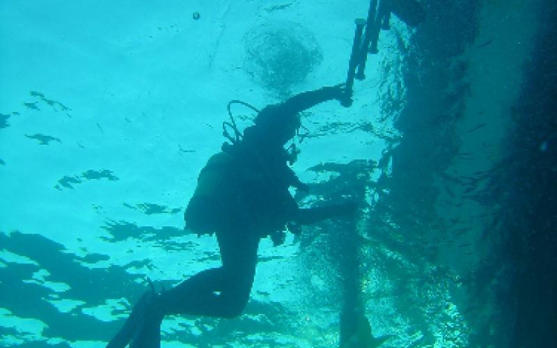 Rachel Rivett's picture