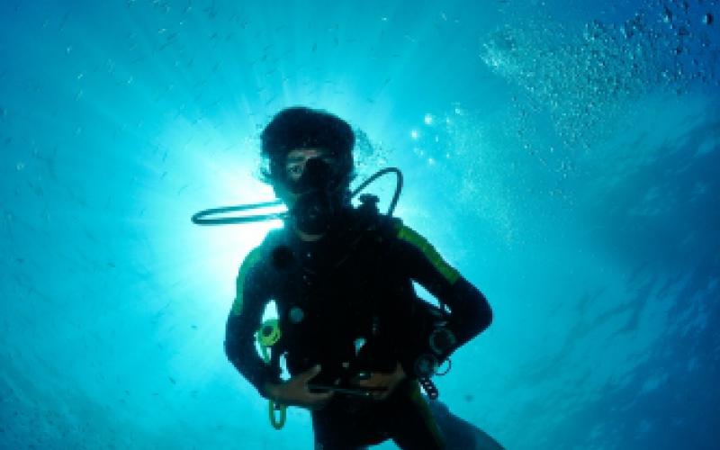 Elliott Scott's picture