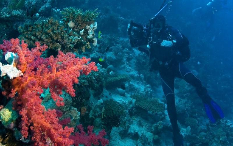 Zachary Woodward's picture