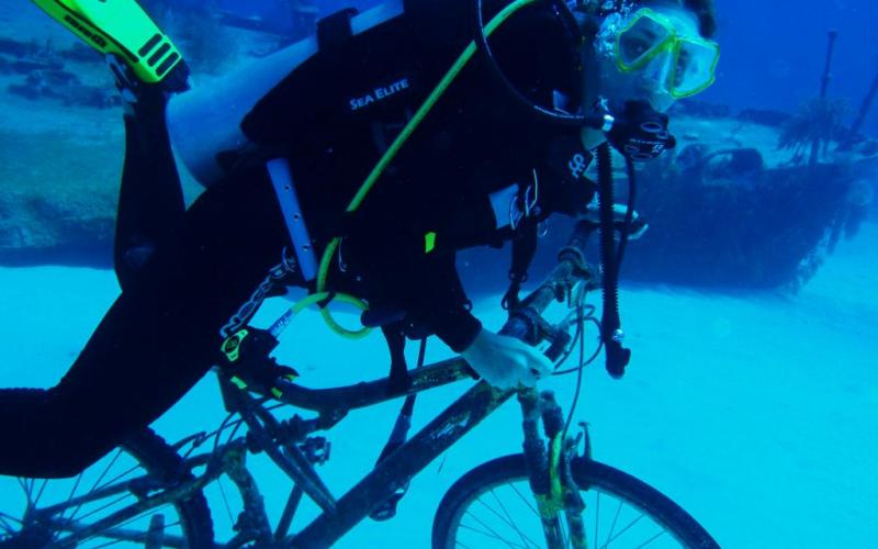 oystercrackher's picture oystercrackher's picture