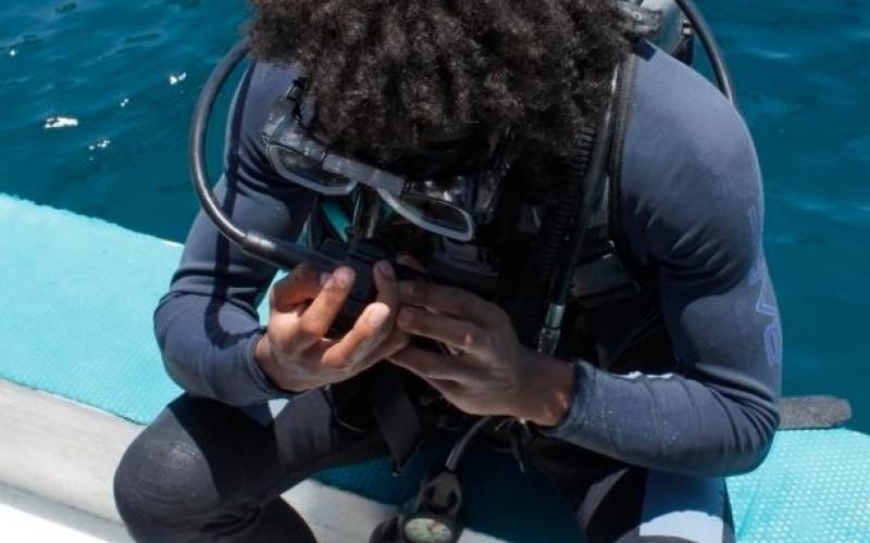 scubapete's picture scubapete's picture