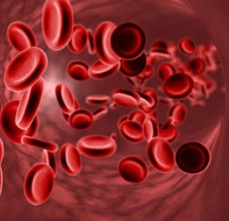 Depiction of the effect taking anticoagulants or platelet inhibitors have on a divers blood