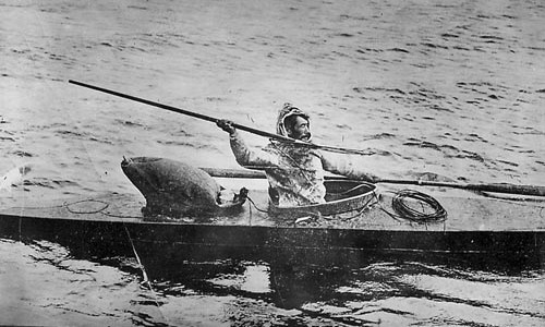 Whale hunter in the early 1900&#039;s with harpoon