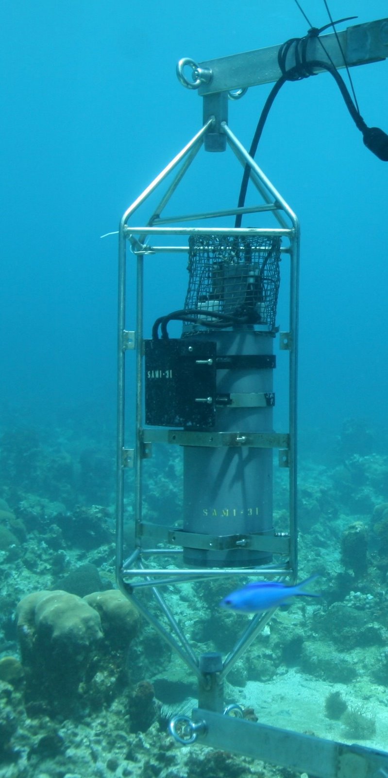 The SAMI pCO2 sensor helps determine how high levels of CO2 and ocean acidification affect coral reefs