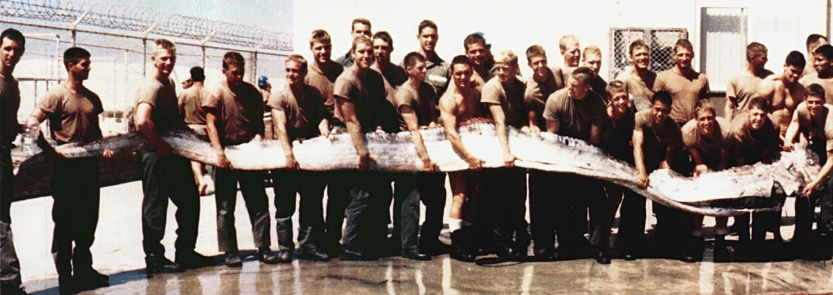U.S. servicemen hold giant oarfish near San Diego, California