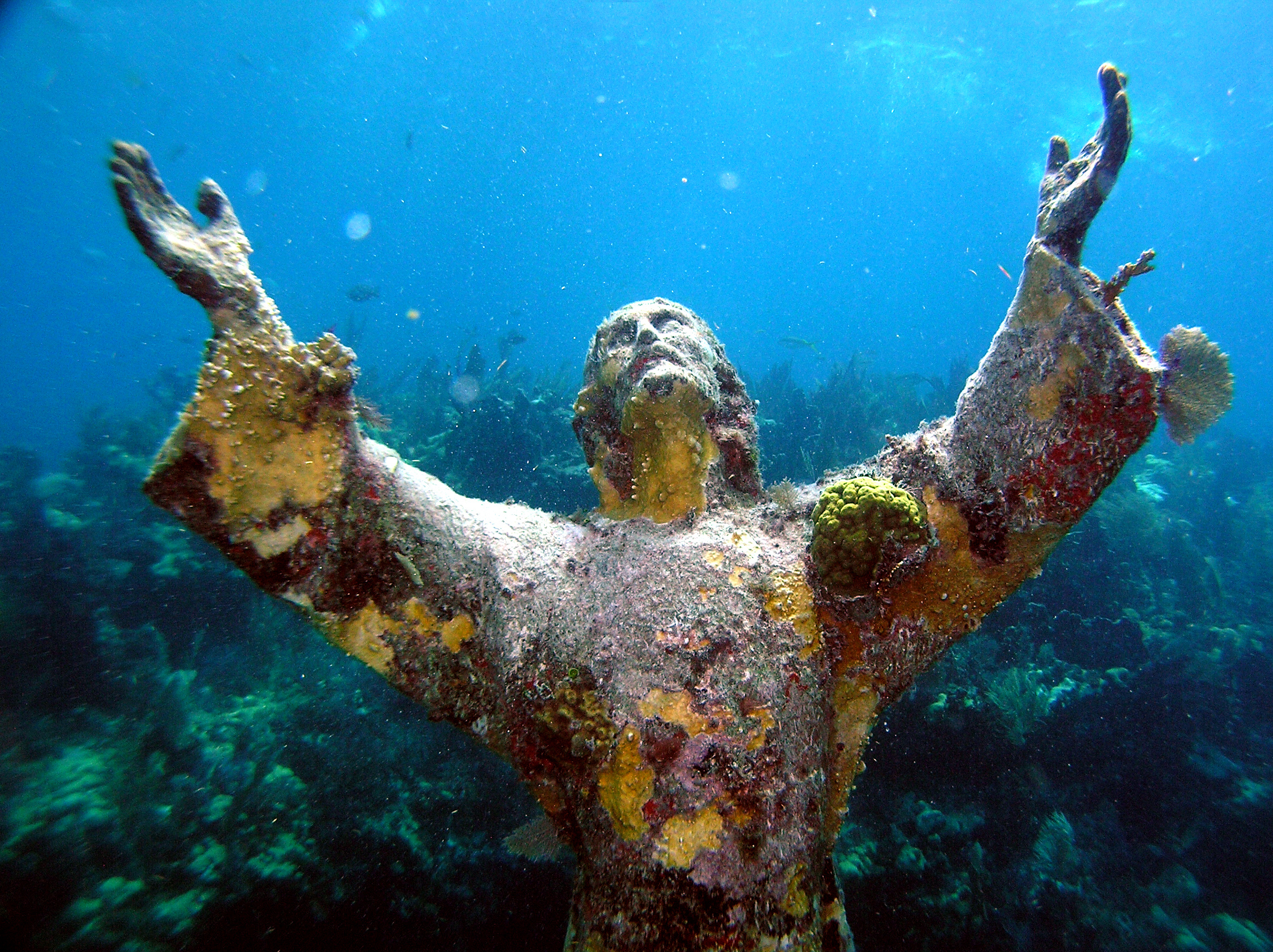 The christ of the abyss underwater sculpture in Key Largo, Florida provides protection for local marine life allowing them the ability to flourish