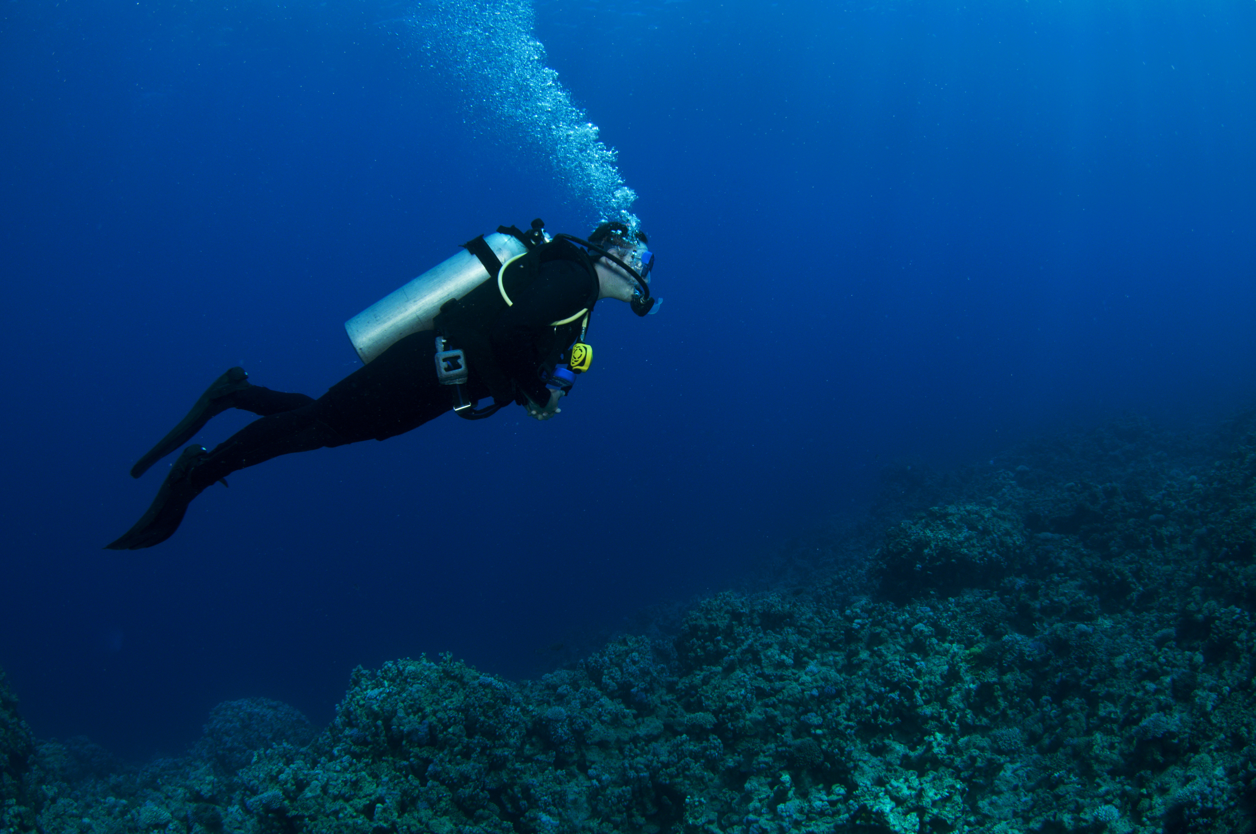 Male diver makes the appropriate safety stops and ascends properly helping him avoid decompression sickness (DCS)