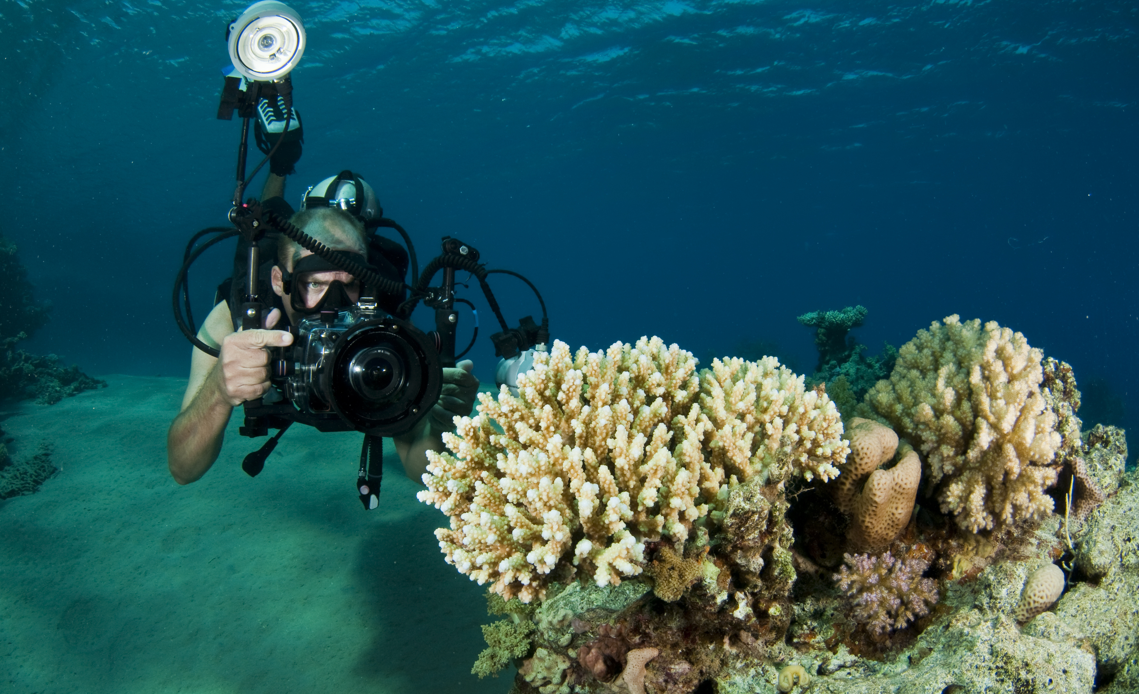 Diver gets up close to coral structures on a reef and takes underwater photos